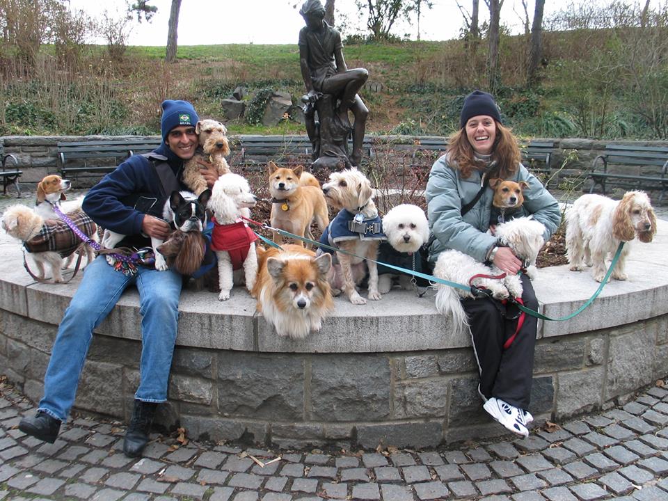 Dogs Posing at Fountain