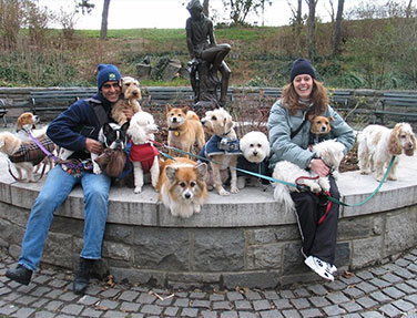 Dog Walking Services in Manhattan